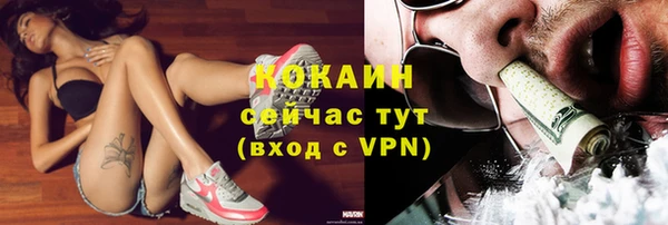 кокс Арсеньев
