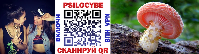 цены наркотик  Порхов  Галлюциногенные грибы GOLDEN TEACHER 